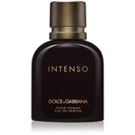Dolce&Gabbana Pour Homme Intenso parfumovaná voda pre mužov 75 ml
