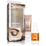 Delia Cosmetics Cameleo profesionálna krémová farba na obočie bez amoniaku odtieň 3.0 Dark Brown 15 ml
