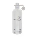 Montale Chocolate Greedy 100 ml parfumovaná voda unisex