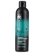 Šampon pro poškozené a oslabené vlasy Black Keratin Protein - 250 ml (250036) + dárek zdarma