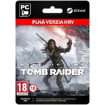 Rise of the Tomb Raider [Steam] - PC