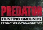 Predator: Hunting Grounds Predator Bundle Edition EU Steam CD Key