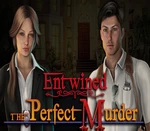 Entwined: The Perfect Murder Steam CD Key