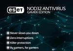ESET NOD32 Antivirus Gamer Edition 2024 Key (1 Year / 1 PC)