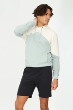 Trendyol Navy Blue Men's Basic Regular Mid-Length / Regular fit Straight Shorts