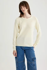 DEFACTO Regular Fit Crew Neck Pullover