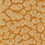 Barva Pébéo Fantasy Prisme 45ml – 23 Summer yellow