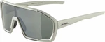 Alpina Bonfire Q-Lite Cool/Grey Matt/Silver Kerékpáros szemüveg