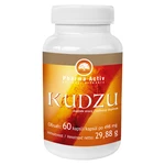 PHARMA ACTIV Kudzu 60 kapslí