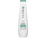 Šampón proti lupinám Biolage Scalp Sync For Dandruff Control - 250 ml + darček zadarmo Šampón proti lupinám Biolage Scalp Sync For Dandruff Control - 250 ml + darček zadarmo