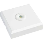 ESYLUX EN10080005 LED núdzové osvetlenie únikových ciest  montáž na strop