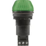 Auer Signalgeräte signalizačné osvetlenie LED IBS 800506404 zelená zelená trvalé svetlo, blikajúce 12 V/DC, 12 V/AC