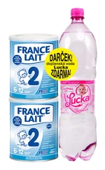 FRANCE LAIT 2