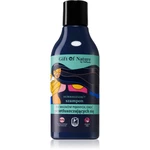 Vis Plantis Gift of Nature šampon pro mastné vlasy 300 ml