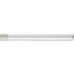 BRUSNÉ tělísko PFERD 36006018 Průměr 6 mm