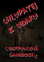 Chlupatej z Udaru - Martin Koláček - e-kniha