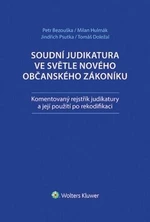 Soudní judikatura ve světle nového občanského zákoníku - Jindřich Psutka, Milan Hulmák, Petr Bezouška