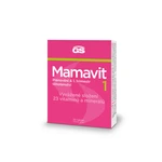 GS Mamavit 1 Plánování a 1.trimestr 30 tablet