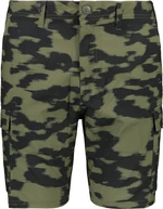 Men's shorts QUIKSILVER ROGUE 19"