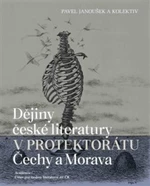Dějiny české literatury v protektorátu Čechy a Morava - Pavel Janoušek, kolektiv autorů