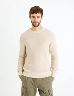 Celio Sweater Fesweet - Men's
