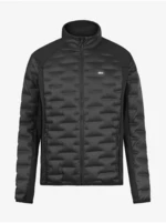 Piumino invernale da uomo Picture Quilted