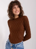 Brown classic sweater with long sleeves