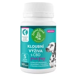 ZELENÁ ZEMĚ CBD kloubní výživa pro psy 60 tbl.