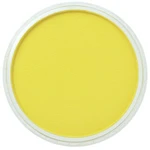 PanPastel 9ml – 220.5 Hansa Yellow