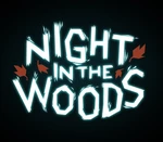 Night in the Woods PC Steam Account