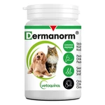 DERMANORM pro psy a kočky 90 kapslí