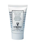 Sisley Čisticí peeling pro všechny typy pleti (Gentle Facial Buffing Cream) 40 ml Sisley Čisticí peeling pro všechny typy pleti (Gentle Facial Buffing Cream) 40 ml