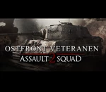 Men of War: Assault Squad 2 - Ostfront Veteranen DLC Steam CD Key