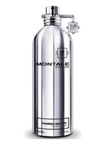 Montale Fougeres Marines Edp 100ml