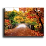 Obraz Tablo Center Autumn Bridge, 70x50 cm