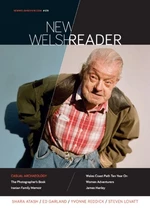 New Welsh Reader 129 (New Welsh Review Summer 2022)