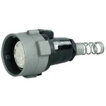 NF konektor - zástrčka, rovná Telegärtner 7.50 mm, 1 ks