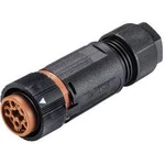 RST® MINI kabelová zásuvka RSTI164/5 Wieland 46.051.4550.4, kulatý faston, Provedení konektoru: spojka, rovná 5, 1 ks