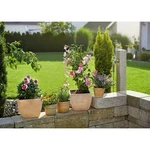 GARDENA Systém Micro-Drip základní sada pro rostliny v květináčích S 13 mm (1/2") Ø Délka hadice: 10 m 13000-20