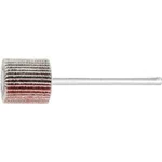 Vějířová bruska NA KŮŇ PFERD 44400045 Průměr 15 mm