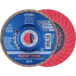 Vějířovitý brusný kotouč PFERD PFC 125 CO-FREEZE 36 SGP STRONG INOX 67789025, Ø 125 mm/