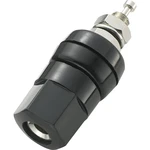 TRU COMPONENTS  pólová svorka čierna 30 A 1 ks