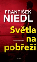 Světla na pobřeží - František Niedl - e-kniha