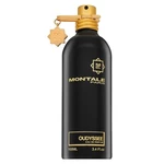 Montale Oudyssee parfémovaná voda unisex 100 ml