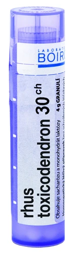 BOIRON Rhus Toxicodendron CH30 granule 4 g