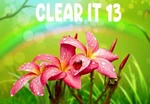 ClearIt 13 Steam CD Key