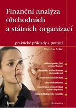 Finanční analýza obchodních a státních organizací - Miroslav Máče - e-kniha