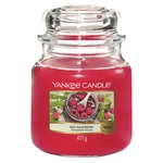 YANKEE CANDLE Classic Vonná svíčka střední Red Raspberry 411 g