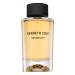 Kenneth Cole Intensity woda toaletowa unisex 100 ml