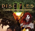 Disciples II: Rise of the Elves Steam Gift
